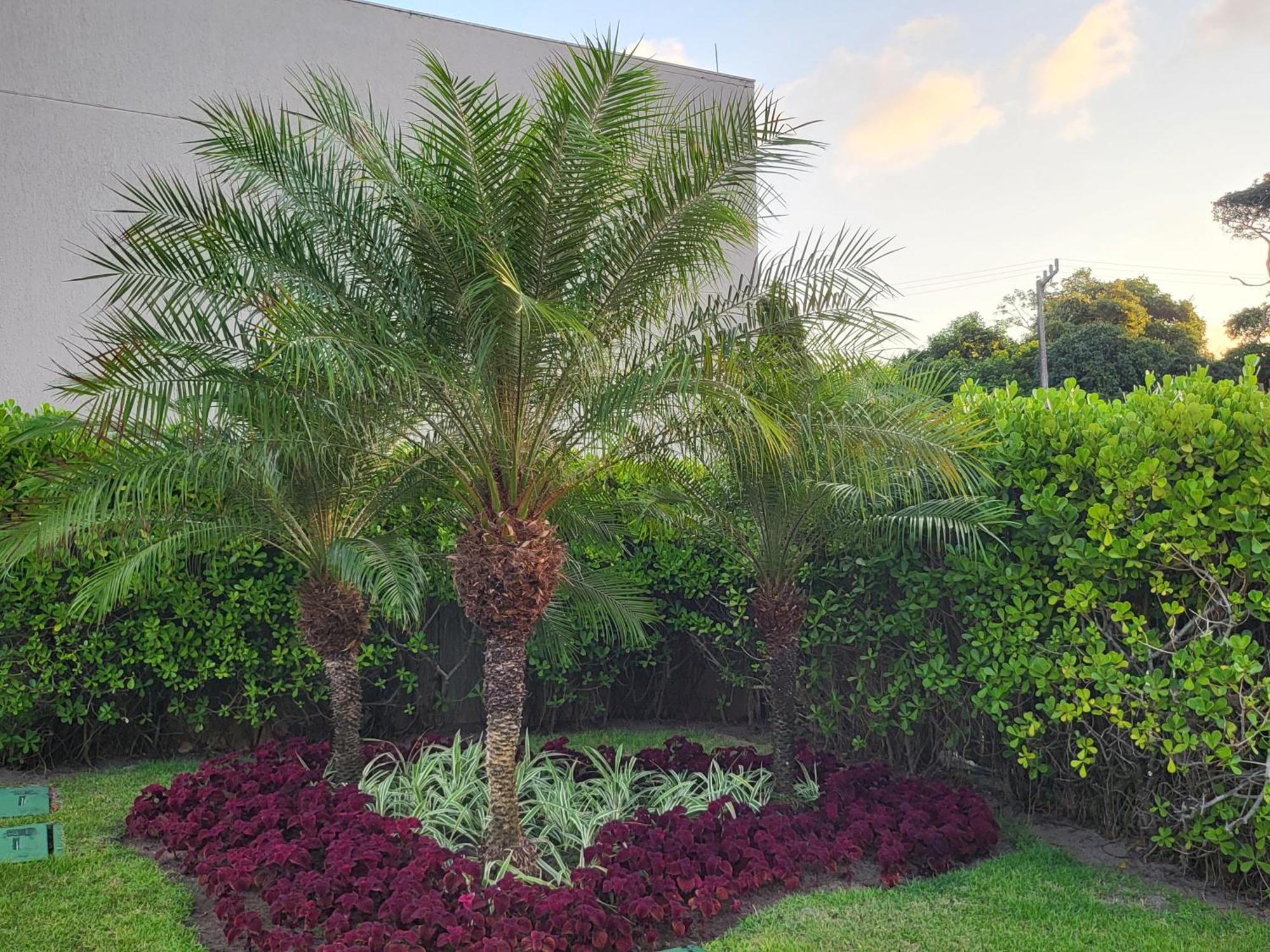Appartamento Boutique Ecolife Pôrto das Galinhas Esterno foto